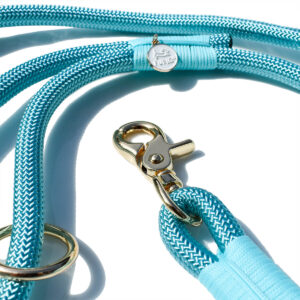 Turquoise Blue Double-Braided Nylon Rope Dog Leash