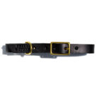 Black Leather Dog Collar with brass hardware