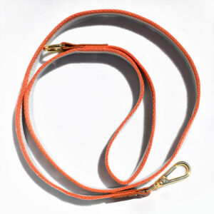 Blue Coral & White Striped Dog Leash