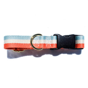 Blue Coral & White Striped Dog Collar