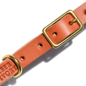 Caramel Brown Leather Dog Collar