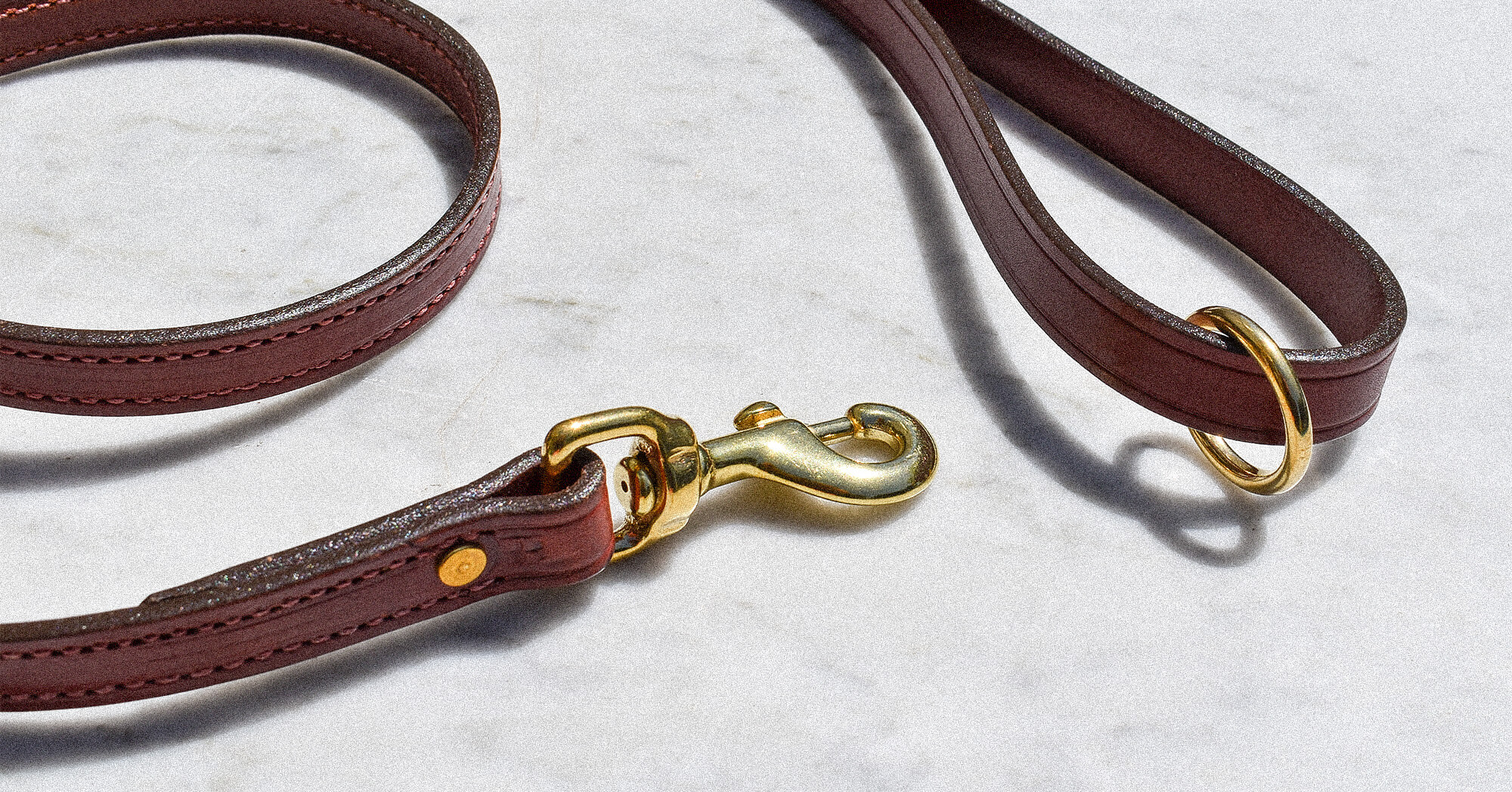stylish leather dog leashes