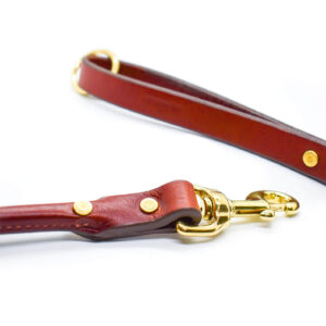 Rolled brown leather dog leash from Leucadia Mercantile