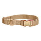 Tan Dog Collar