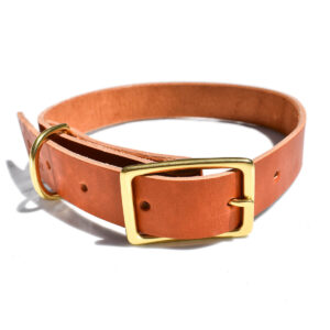 Caramel Brown Wide Leather Dog Collar