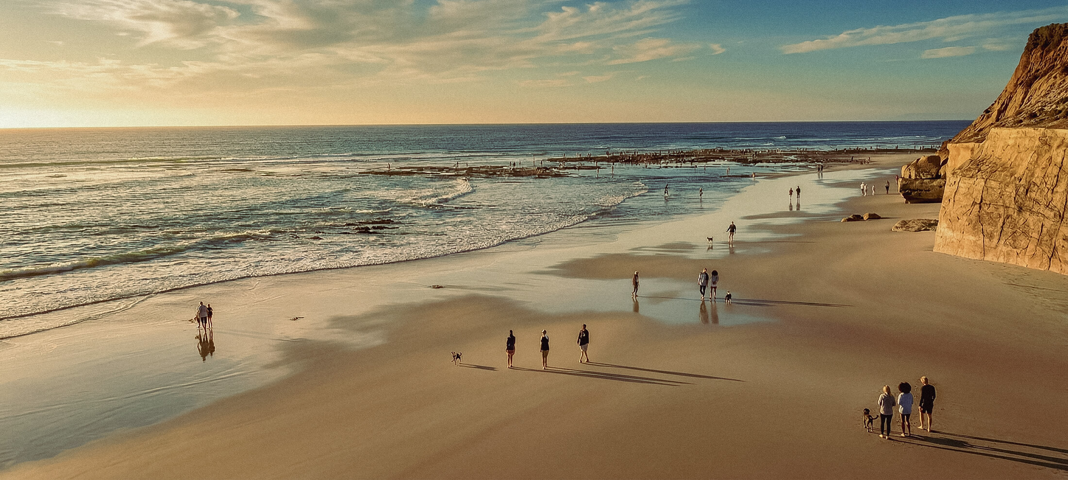 Dog Friendly Beaches in San Diego