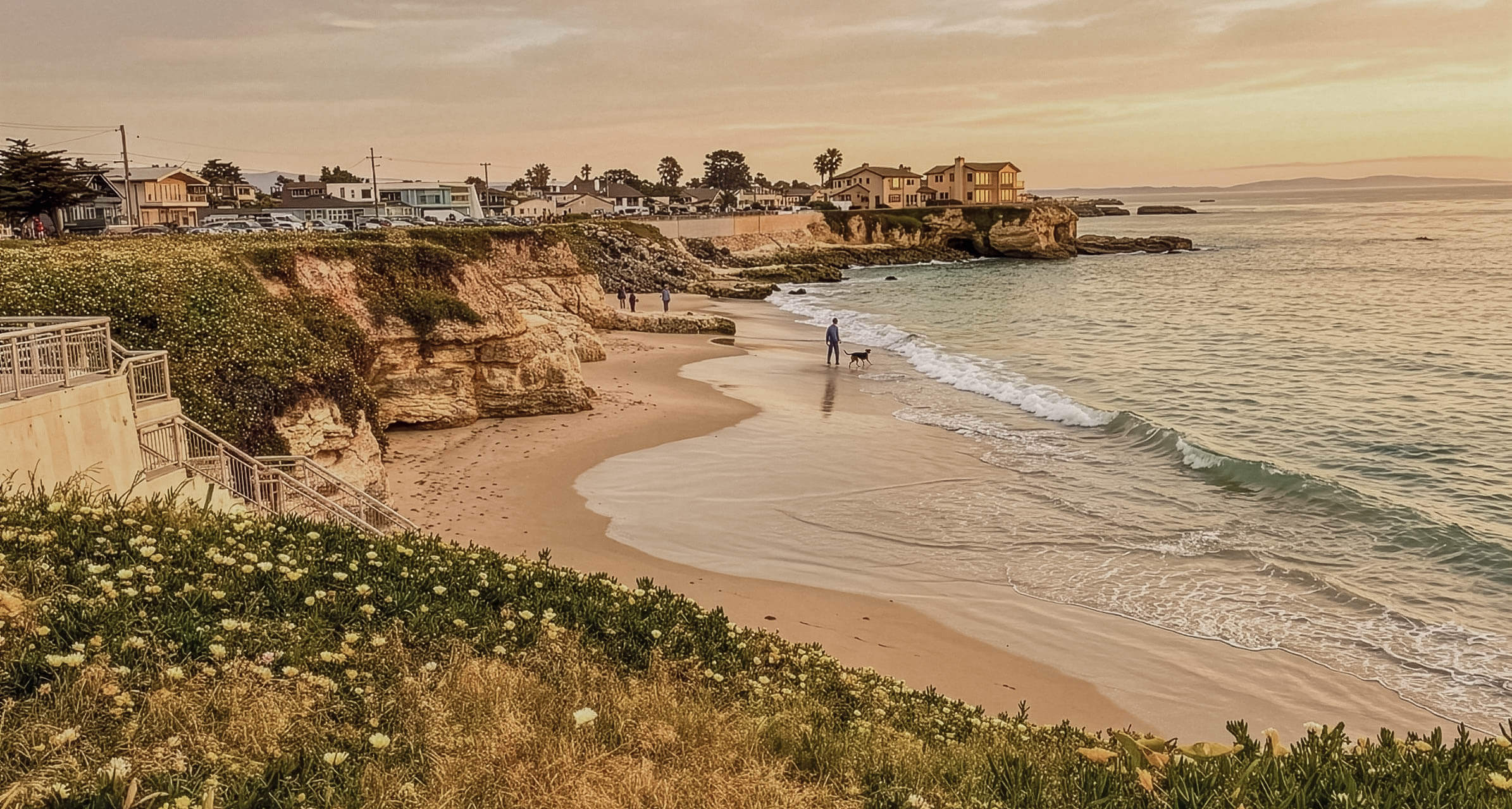 Dog Friendly Santa Cruz