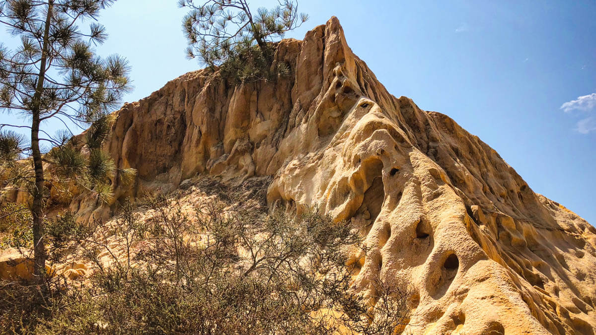 Interesting geological formations along Guy Fleming Trail in Torrey Pines State Park