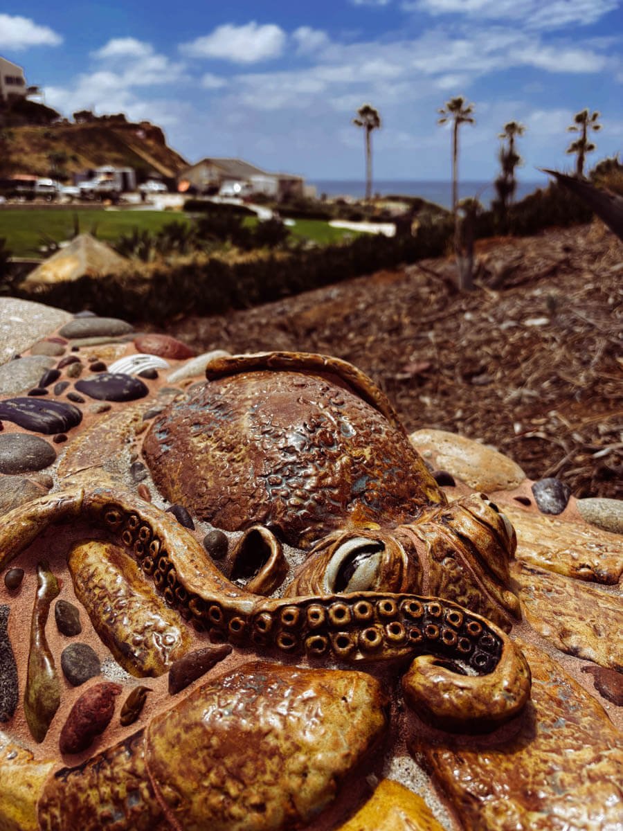 Ceramic octopus mural by Betsy Schulz atFletcher Cove Beach Park, Solana Beach, California 