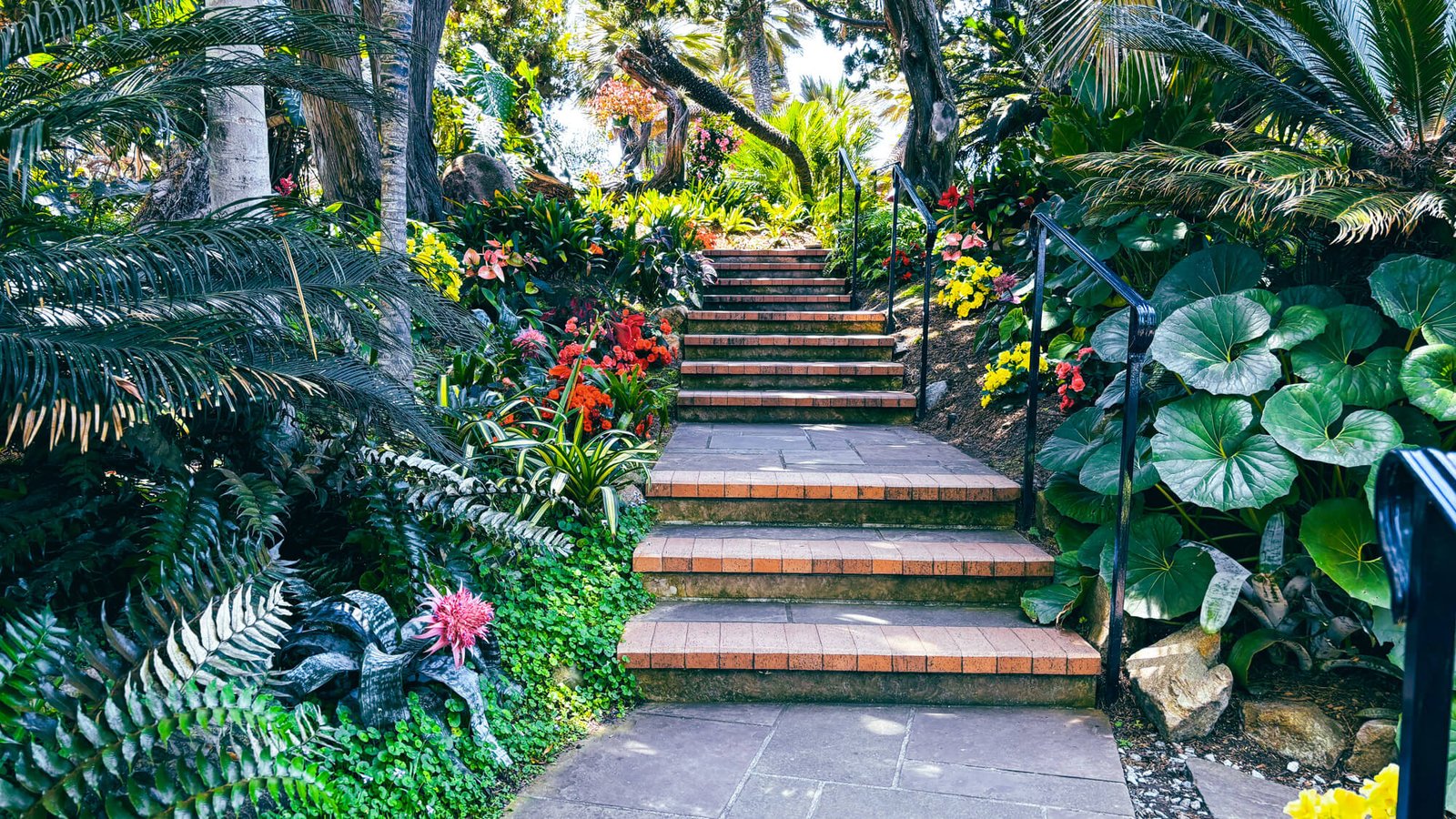 Self-Realization Fellowship meditation gardensabove Swamis Beach, Encinitas California — Leucadia Mercantile Journal