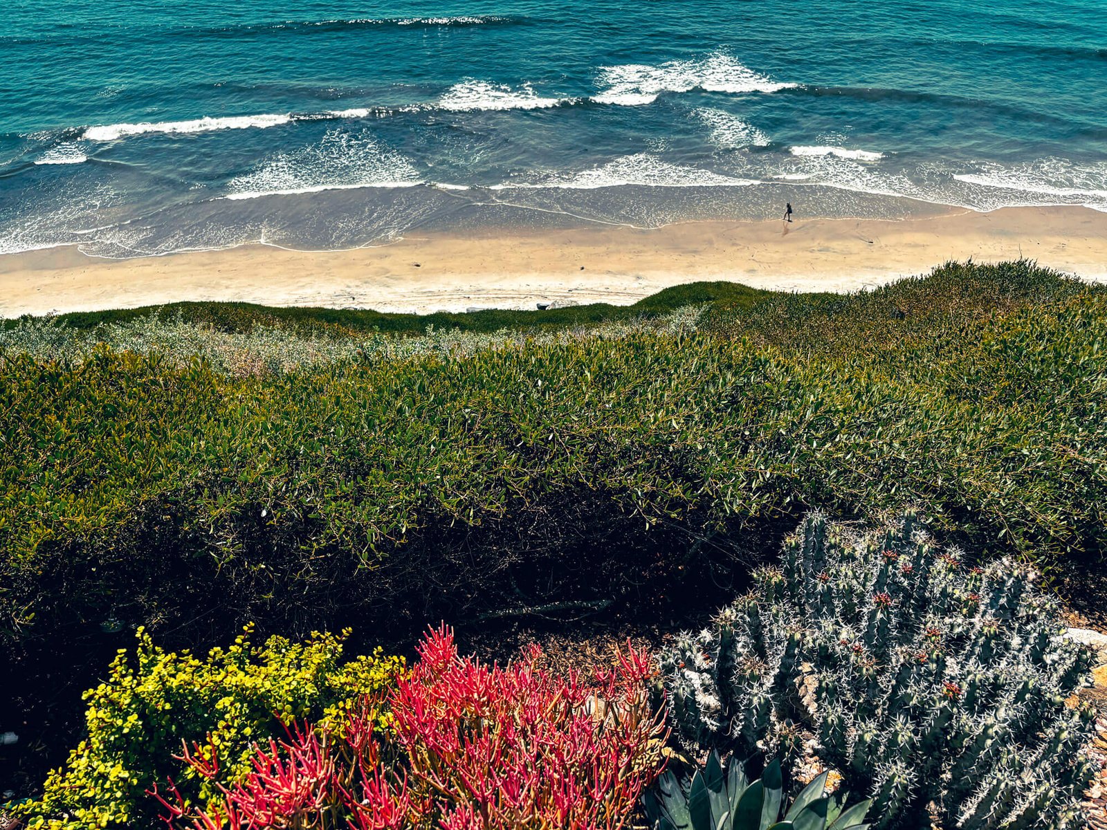 Self-Realization Fellowship meditation gardens above Swamis Beach, Encinitas California — Leucadia Mercantile Journal