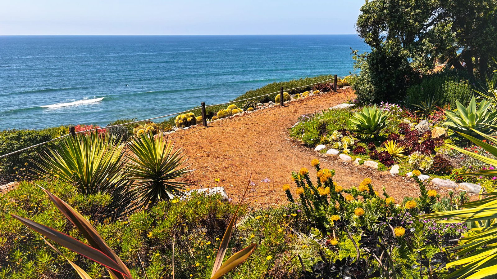 Garden paths above Swami's