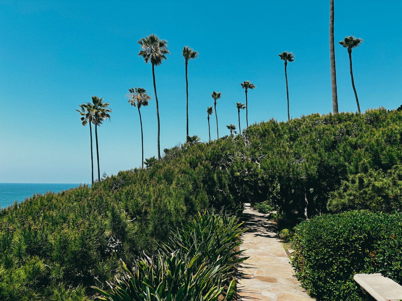 Palm trees and garden path at the Self-Realization Fellowship meditation gardens above Swamis Beach
