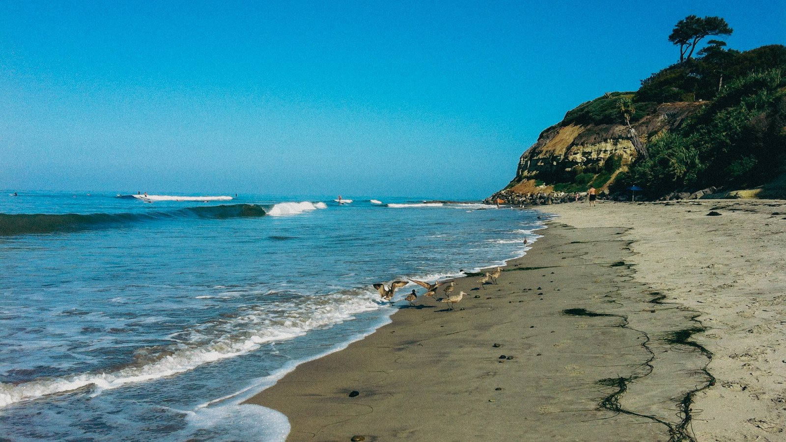 Swami's Beach