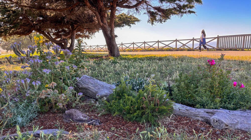 Santa Cruz West Cliffs Coastal Path