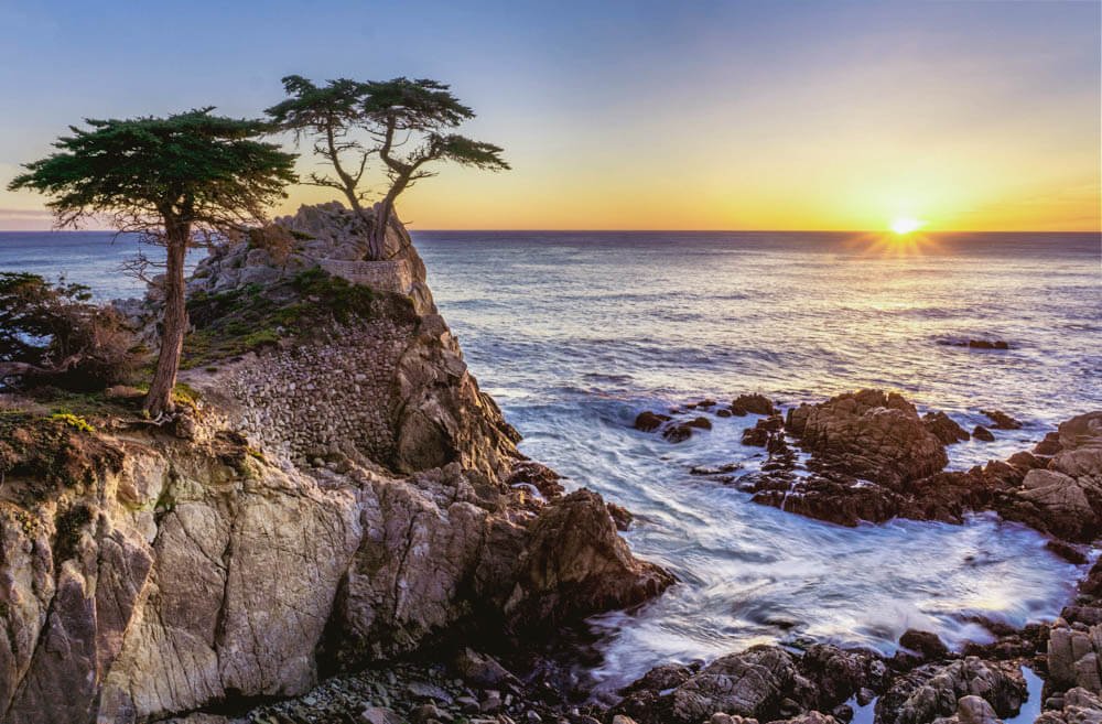 Cypress Trees on the coastline